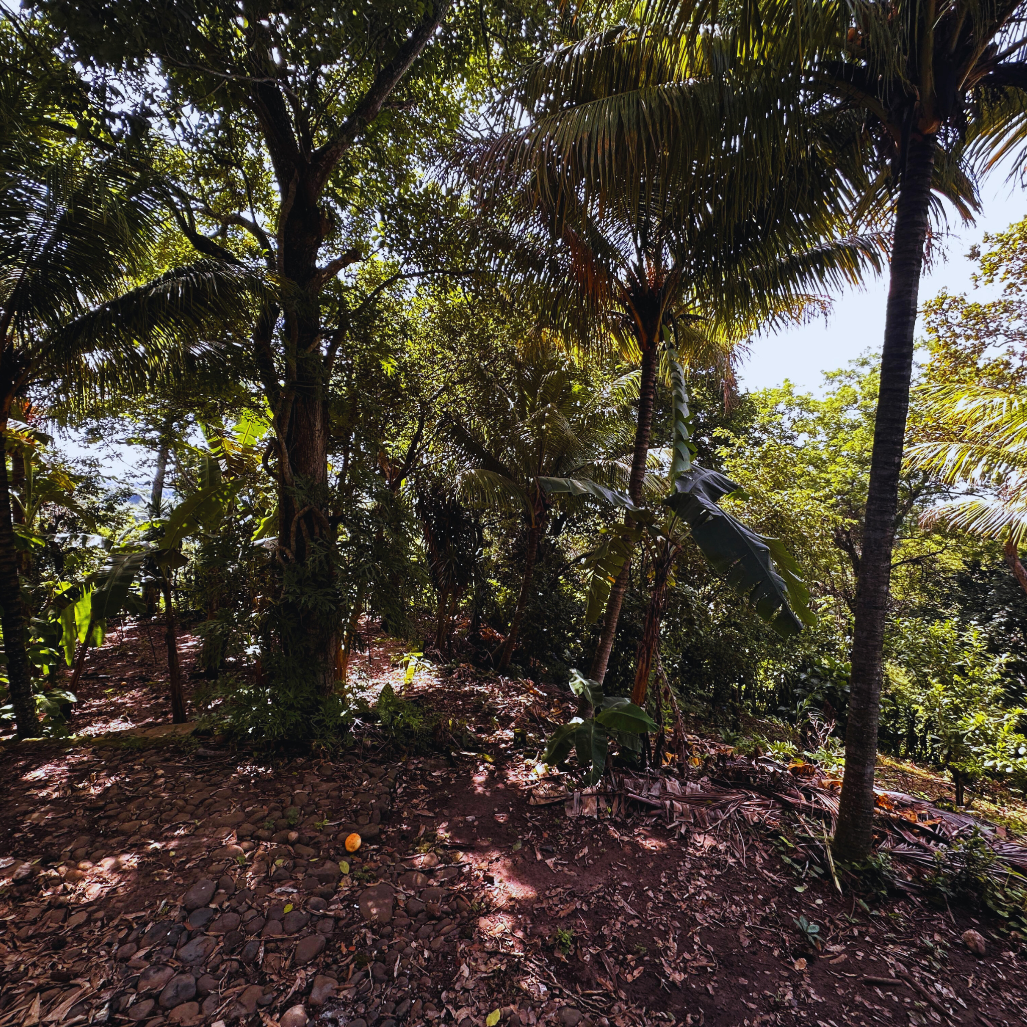 ¡Oportunidad Única! Terreno en Venta con Vistas Panorámicas al Mar en Carretera al Puerto, Km 17 ½ - Ideal para Desarrollo Inmobiliario