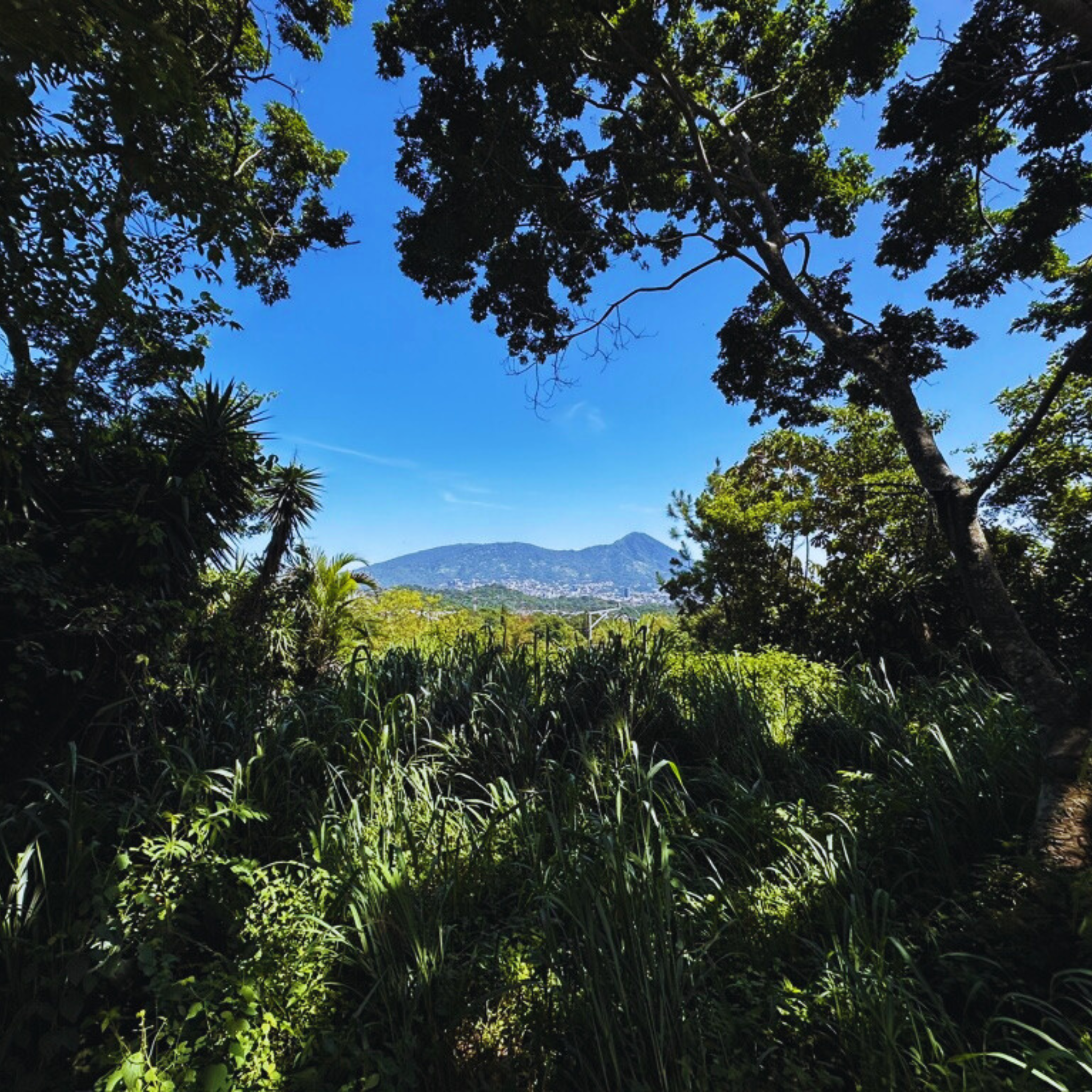 Amplio Terreno de 1,655 v² con Impresionantes Vistas a San Salvador en Privado Km 7 1/2 Planes de Renderos