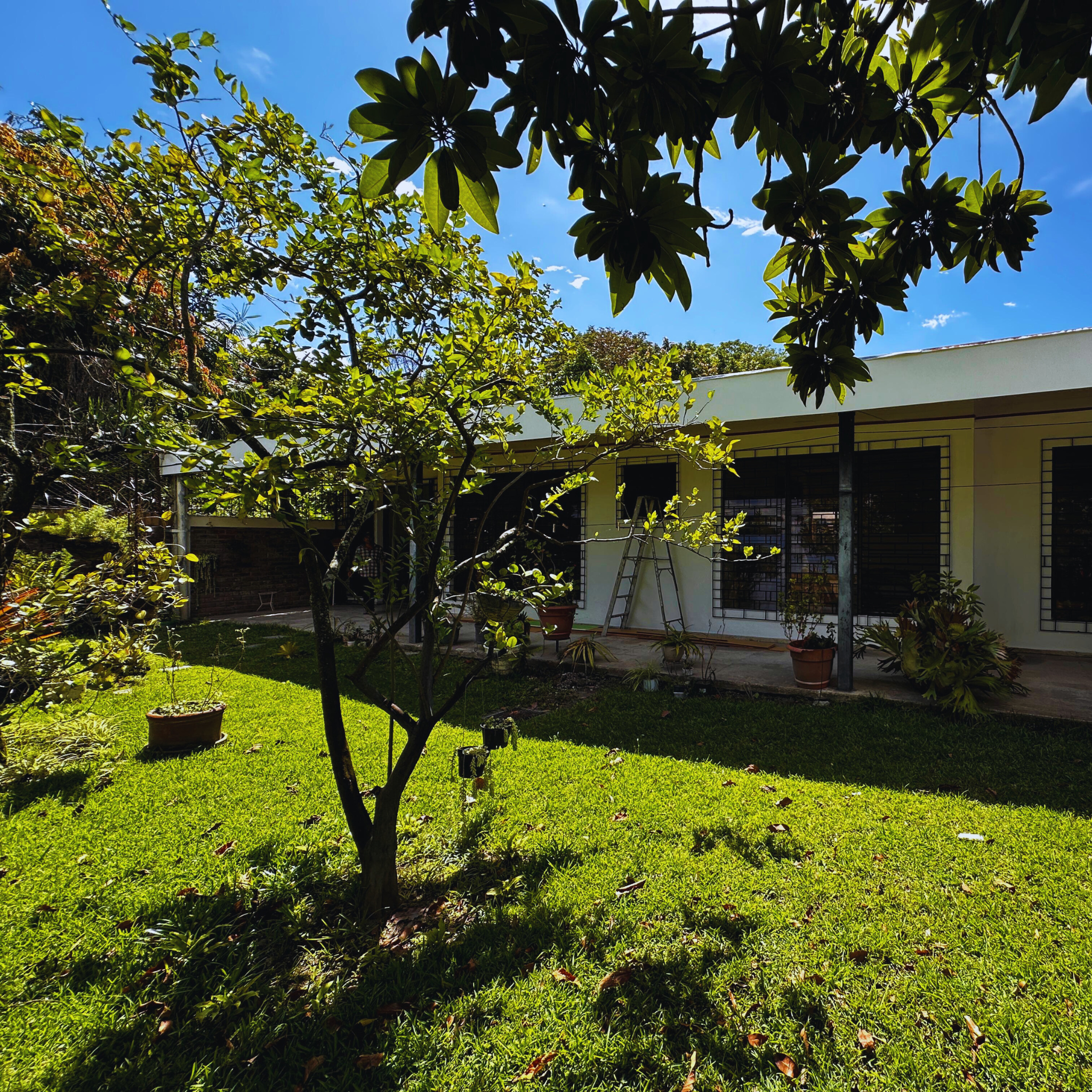 Alquiler de Casa de 5 Habitaciones + Estudio en Lomas de Altamira: Espacio y Privacidad para Toda la Familia