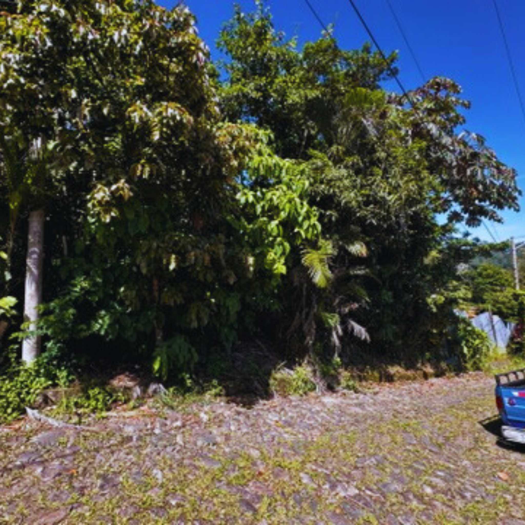 Amplio Terreno de 1,655 v² con Impresionantes Vistas a San Salvador en Privado Km 7 1/2 Planes de Renderos