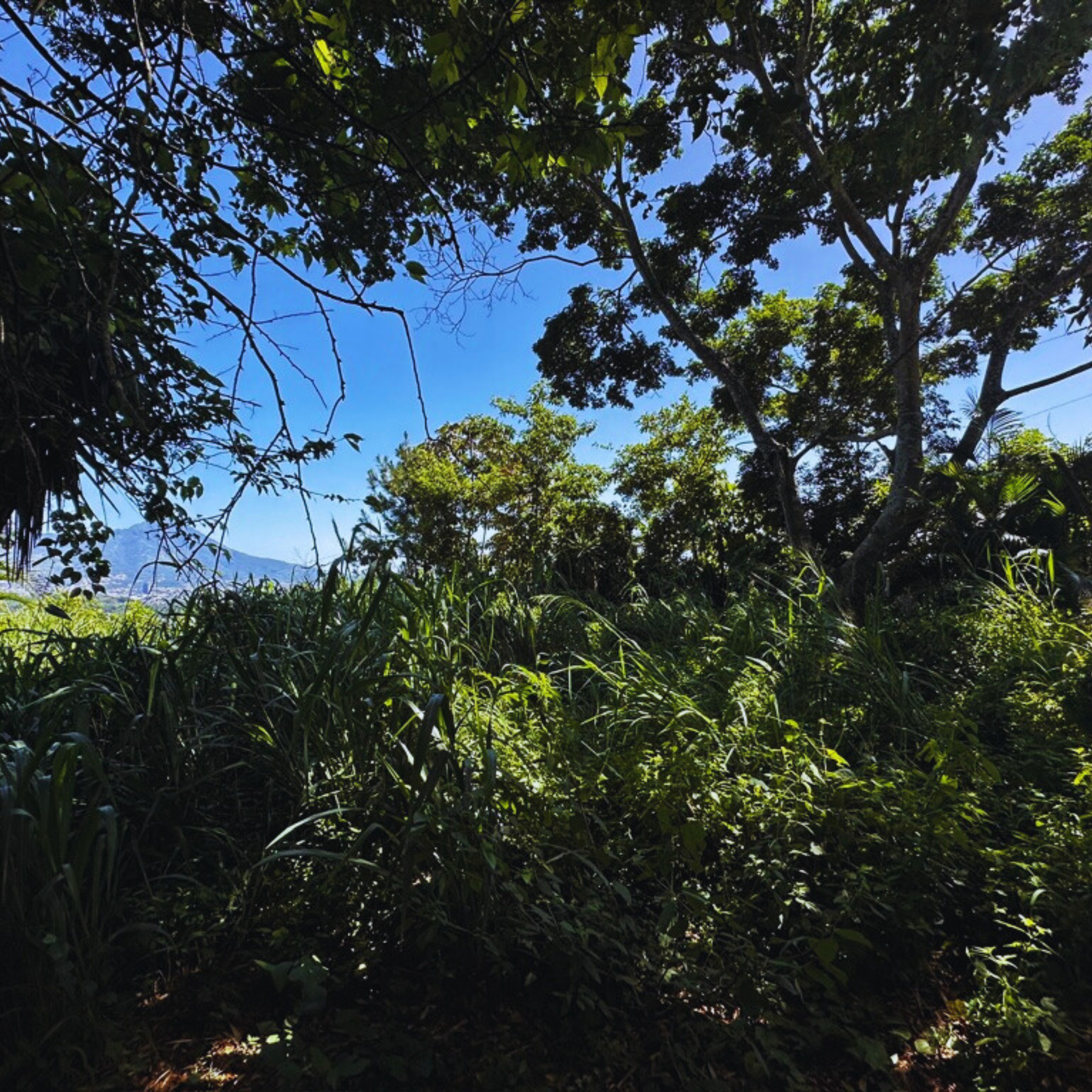 Amplio Terreno de 1,655 v² con Impresionantes Vistas a San Salvador en Privado Km 7 1/2 Planes de Renderos