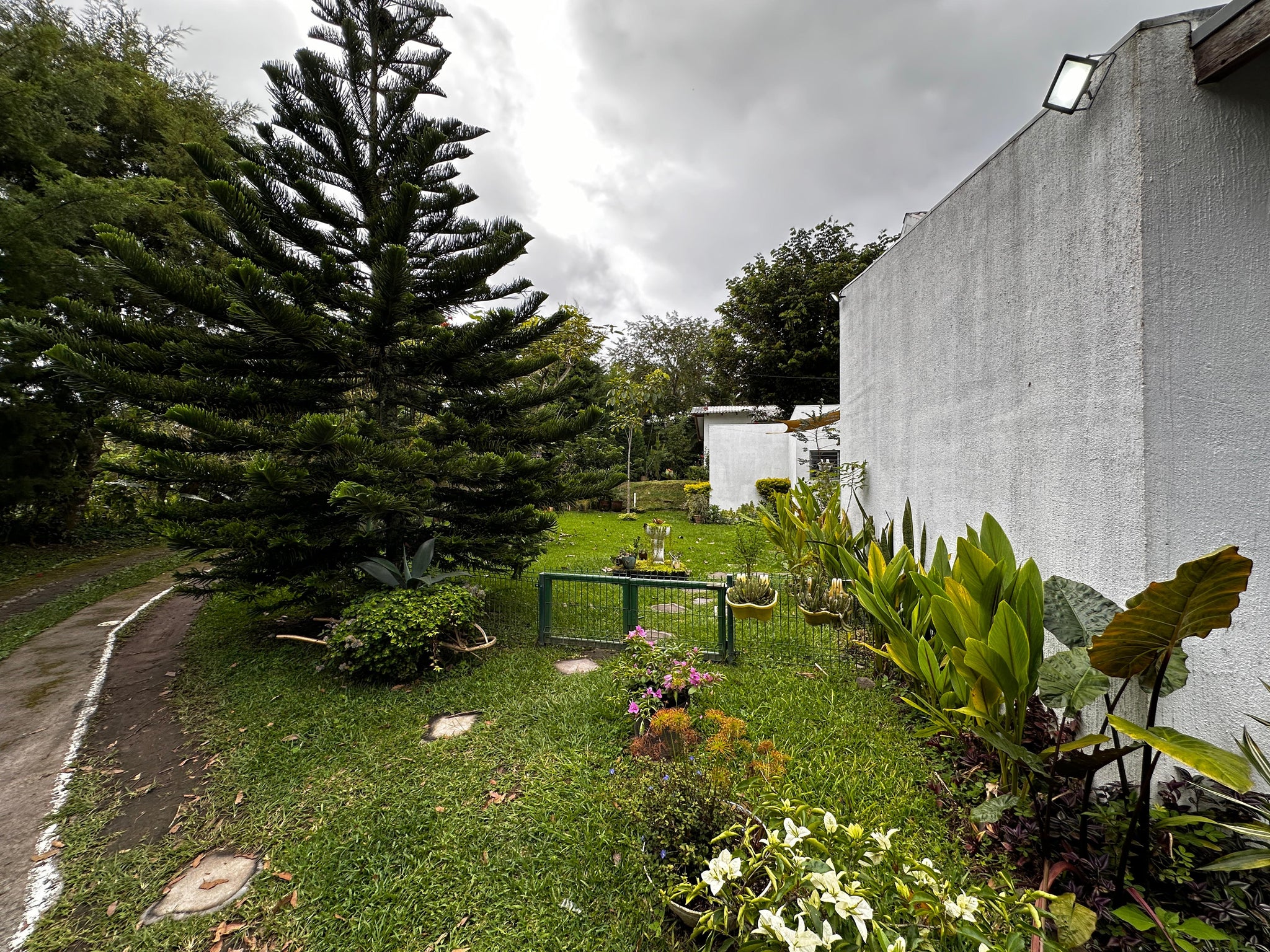 San Salvador | Se vende quinta de 4.3 manzanas en zona Planes de Renderos
